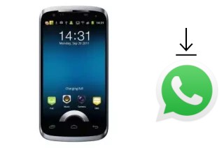 Come installare WhatsApp su SingTech SGT-X41