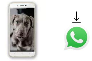 Come installare WhatsApp su Siswoo A6 Vanilla