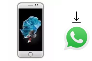 Come installare WhatsApp su SKG Modern S6