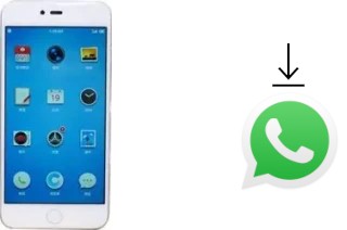 Come installare WhatsApp su Smartisan M1