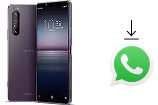 Come installare WhatsApp su Sony Xperia 1 II