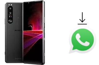 Come installare WhatsApp su Sony Xperia 1 III