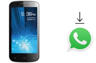 Come installare WhatsApp su Spice Mi-491 Stellar Virtuoso Pro