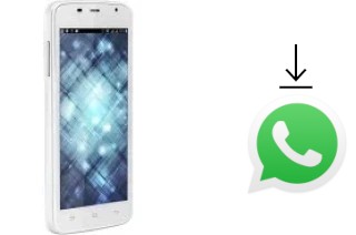 Come installare WhatsApp su Spice Mi-504 Smart Flo Mettle 5X