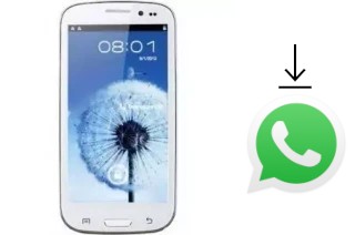 Come installare WhatsApp su Star B92M