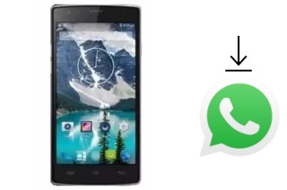 Come installare WhatsApp su Star L55