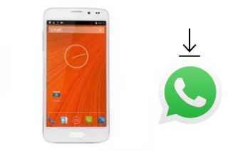 Come installare WhatsApp su Star N900 S5