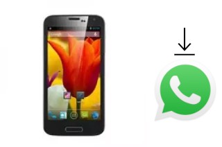 Come installare WhatsApp su Star W500