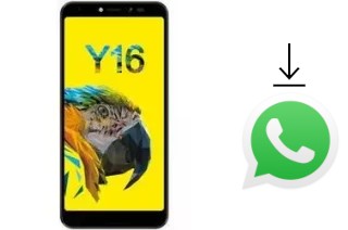 Come installare WhatsApp su Sugar Y16