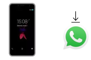 Come installare WhatsApp su Symphony H400