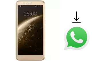 Come installare WhatsApp su Symphony V135