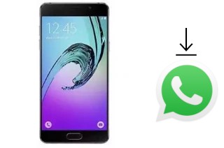 Come installare WhatsApp su Tashan TS-851