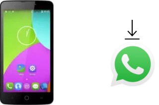 Come installare WhatsApp su TCL 302U