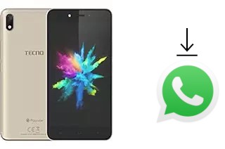 Come installare WhatsApp su Tecno Pouvoir 1