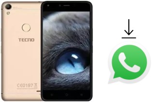 Come installare WhatsApp su Tecno WX4