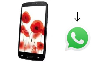 Come installare WhatsApp su TELEFUNKEN TF-SP5002