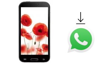 Come installare WhatsApp su TELEFUNKEN TF-SP5302