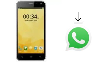 Come installare WhatsApp su Telma F1 Plus