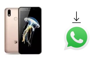 Come installare WhatsApp su Texet TM-5081