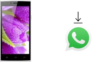 Come installare WhatsApp su THL T6S