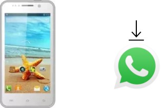 Come installare WhatsApp su THL W100