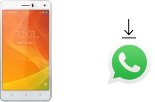 Come installare WhatsApp su Timmy M13 Pro