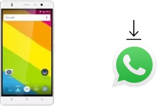 Come installare WhatsApp su Timmy M20 Pro