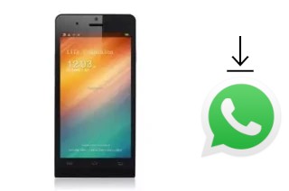 Come installare WhatsApp su Titan Q5