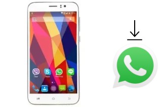 Come installare WhatsApp su Touchkon M509