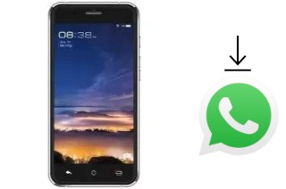 Come installare WhatsApp su Trio V51 DT