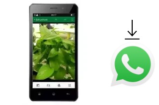 Come installare WhatsApp su True Smart 4G HD Voice