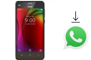 Come installare WhatsApp su True Smart A2 5-0 Plus