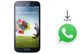 Come installare WhatsApp su TSM T968