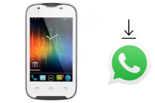 Come installare WhatsApp su Turbo-X G310