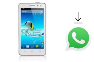 Come installare WhatsApp su Turbo-X G410