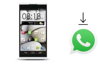 Come installare WhatsApp su TWM A6S