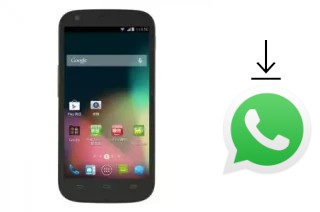 Come installare WhatsApp su TWM Amazing X2