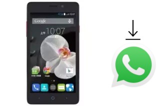 Come installare WhatsApp su TWM Amazing X5