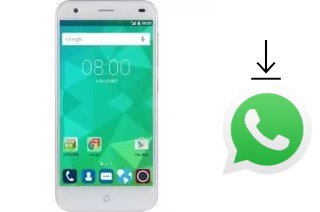 Come installare WhatsApp su TWM Amazing X6