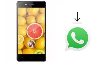 Come installare WhatsApp su TWZ Y55