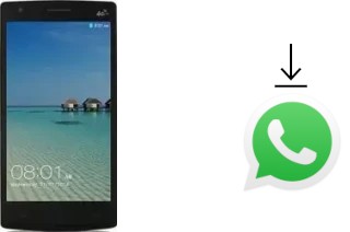 Come installare WhatsApp su Ulefone L55