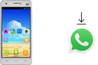 Come installare WhatsApp su UMi Hammer