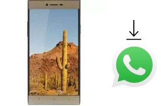 Come installare WhatsApp su VC Cactus