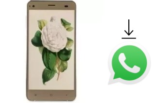 Come installare WhatsApp su VC Camellia II