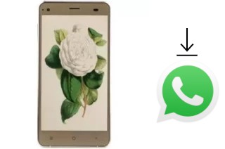 Come installare WhatsApp su VC Camellia