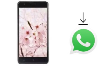 Come installare WhatsApp su VC Cherry