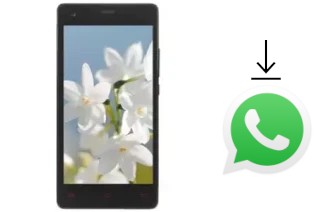 Come installare WhatsApp su VC Jasmine