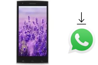 Come installare WhatsApp su VC Lavender II