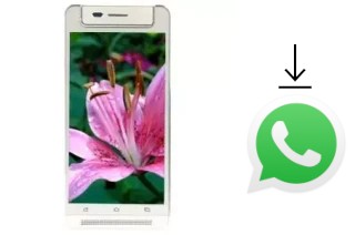 Come installare WhatsApp su VC Lily