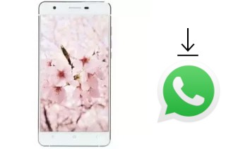 Come installare WhatsApp su VC Maple II